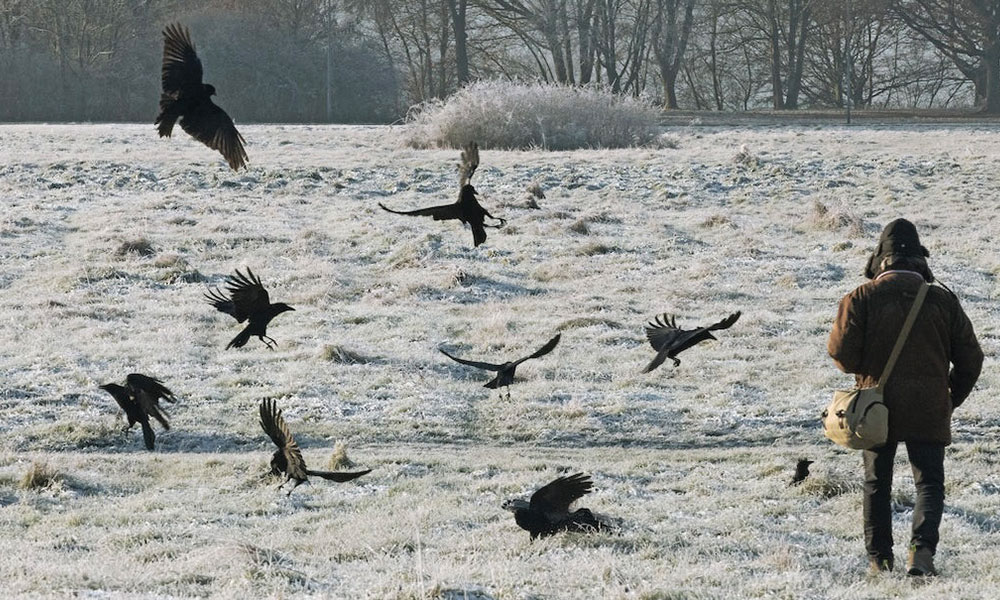 WatchingPeopleWatchingBirds_03